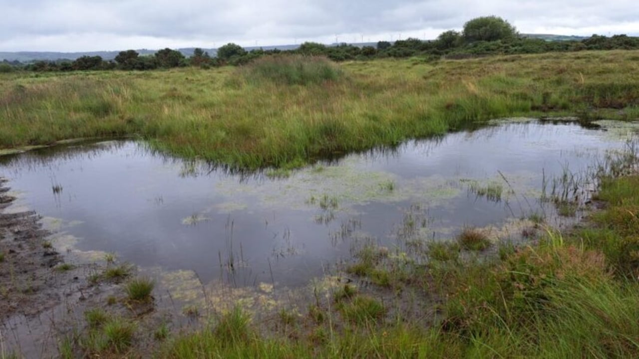 Establishing a wader scrape on a cutover bog in Co. Limerick Source: ACRES information website