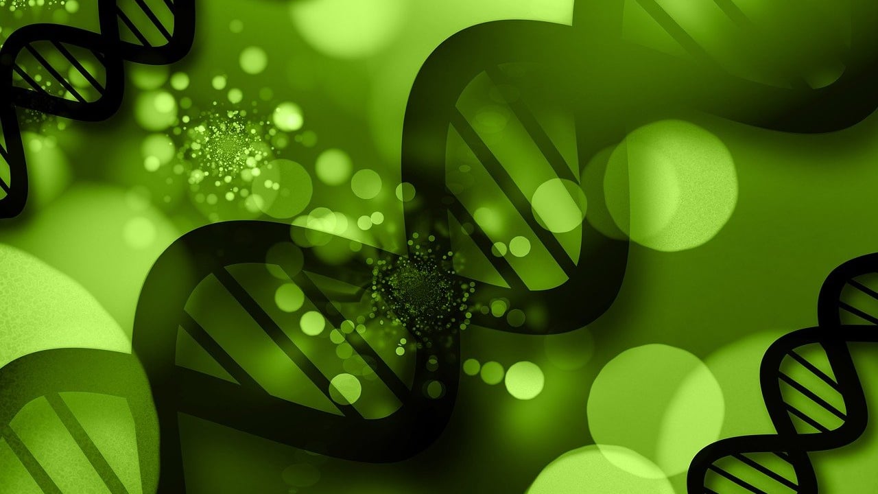 MEPs back new 'genomic' rules for plants that could deliver higher yields