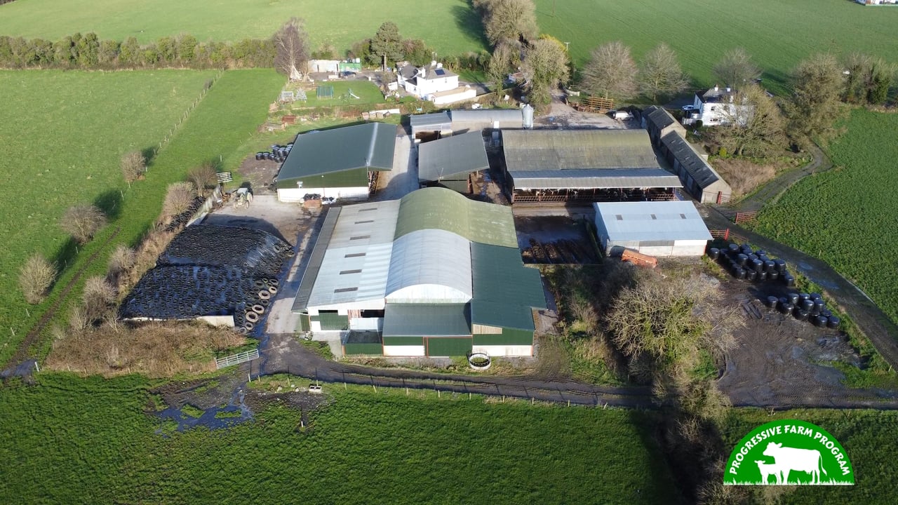 Progressive Farm Program: Combining pedigree breeding and EBI in Meath