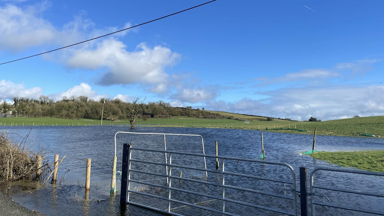 Temporary measures needed at Lough Funshinagh this summer - minister
