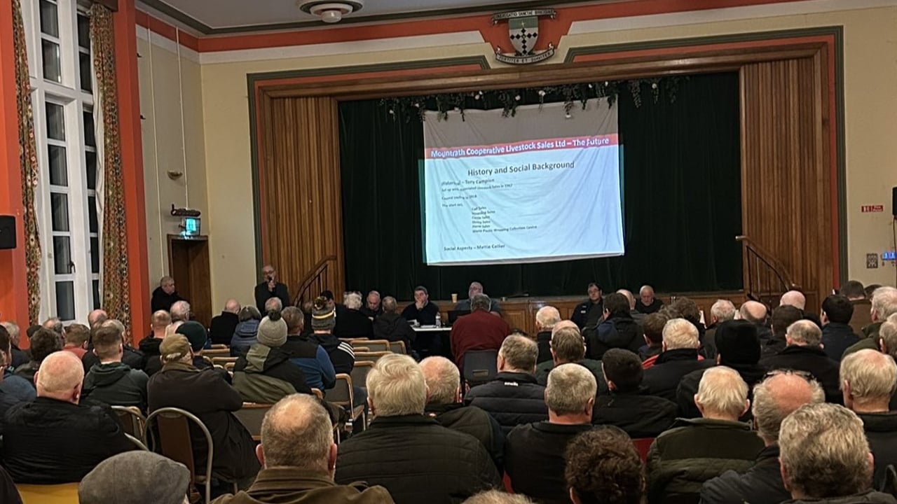 'Successful outlook' for reopening of Mountrath Mart