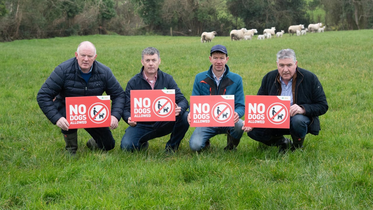 L-r: IFA president Francie Gorman with farmer Michael Boyce; Donegal IFA chair, Joe Sweeney; and IFA sheep committee chair, Adrain Gallagher. Source: Clive Wasson