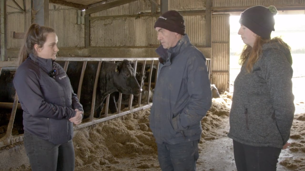 Watch: 'Difficult to continue' with lack of sleep during lambing