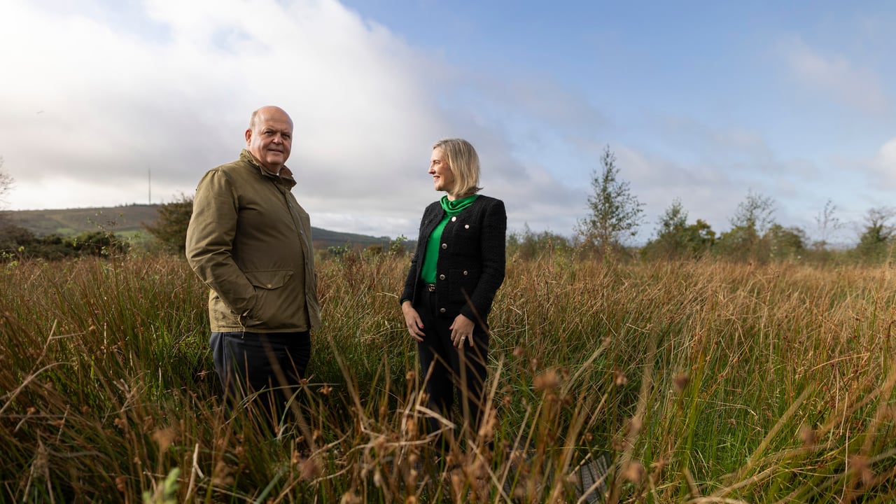 AIB targets net zero in 2050 on its financed emissions in agriculture