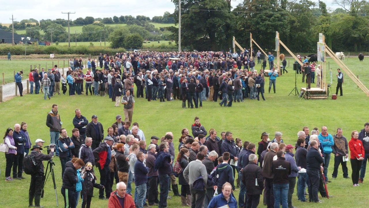 Diary date: BEEF2024 set for Teagasc Grange on June 26