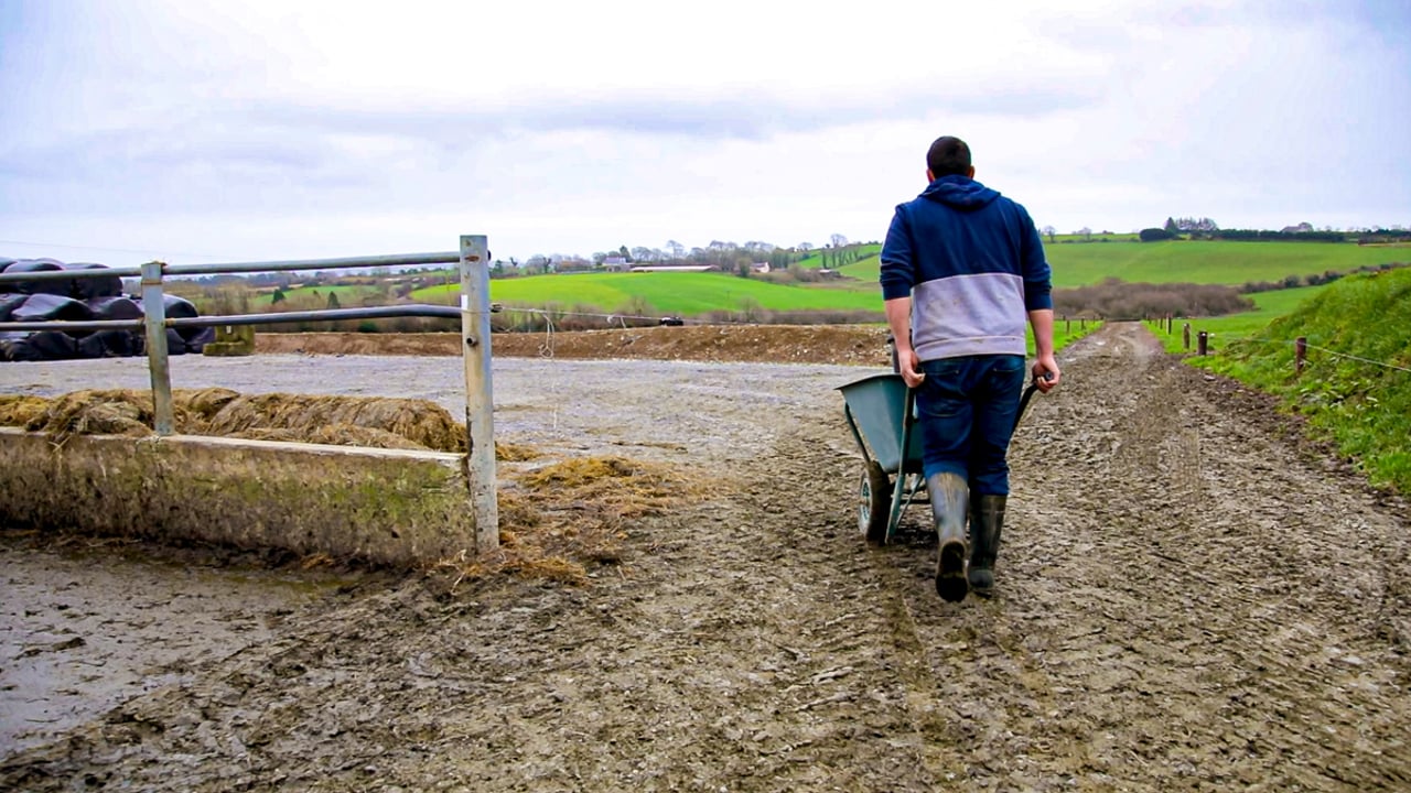 FFA: Tax change will 'wipe out' succession planning for NI farmers