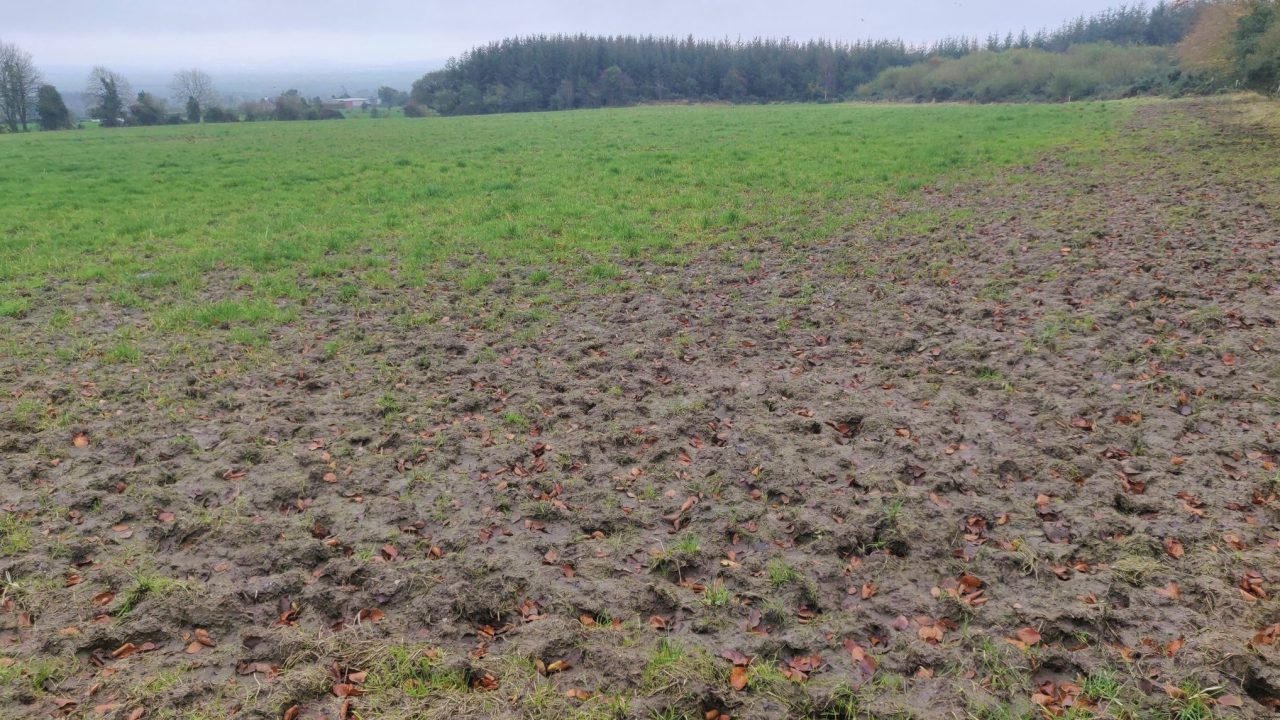 Spring grazing unworkable on many farms as rain persists