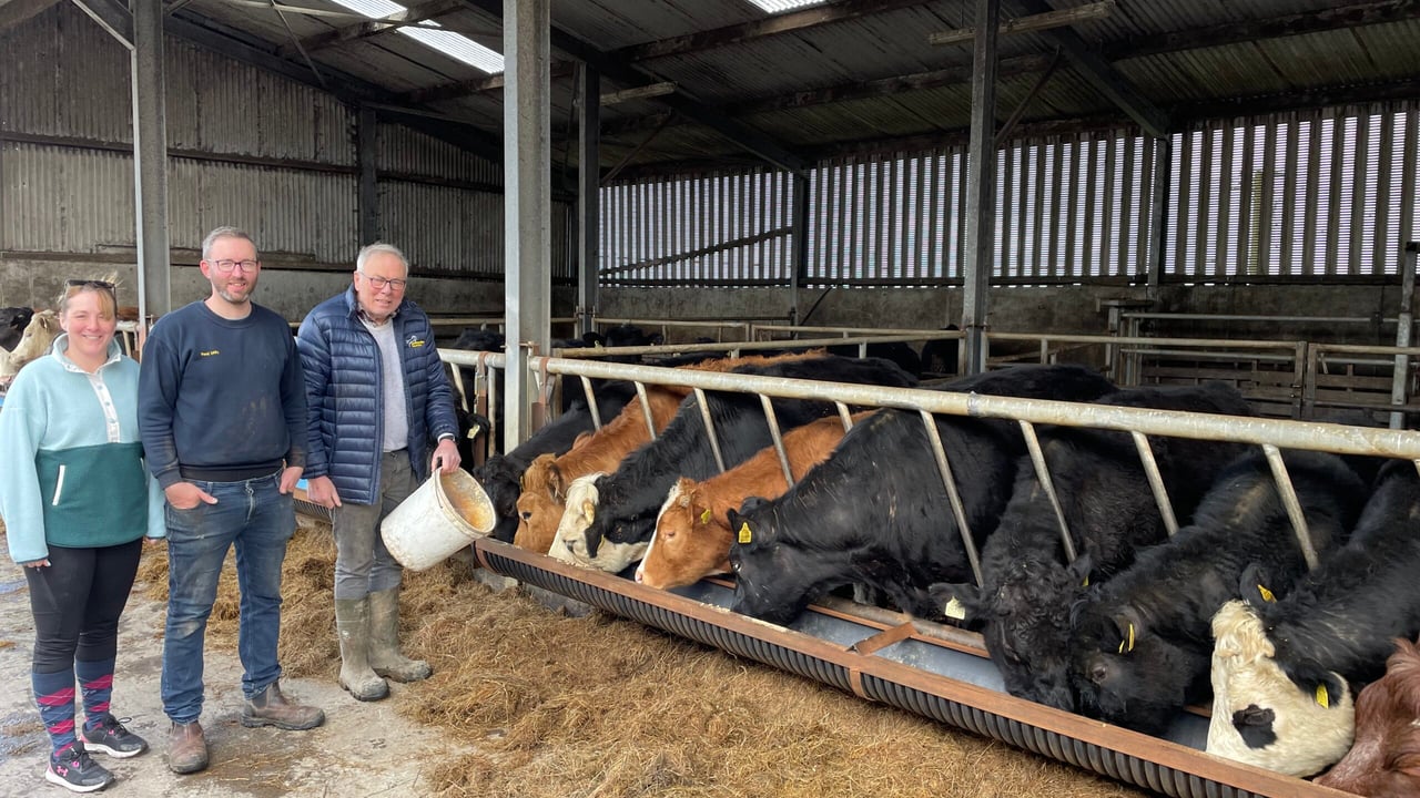 Watch: The cattle trough design that went viral on TikTok