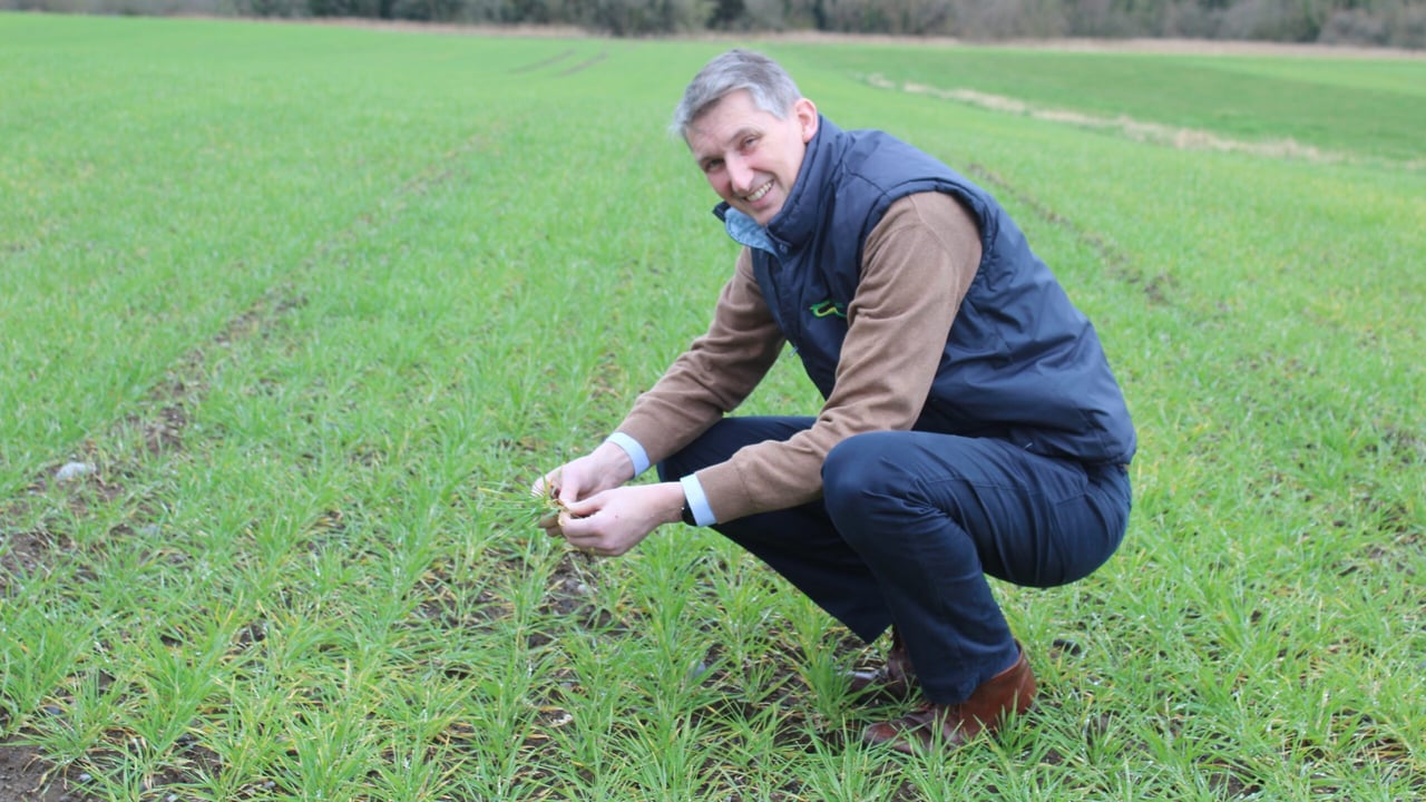 Spring planting conditions see dramatic improvement