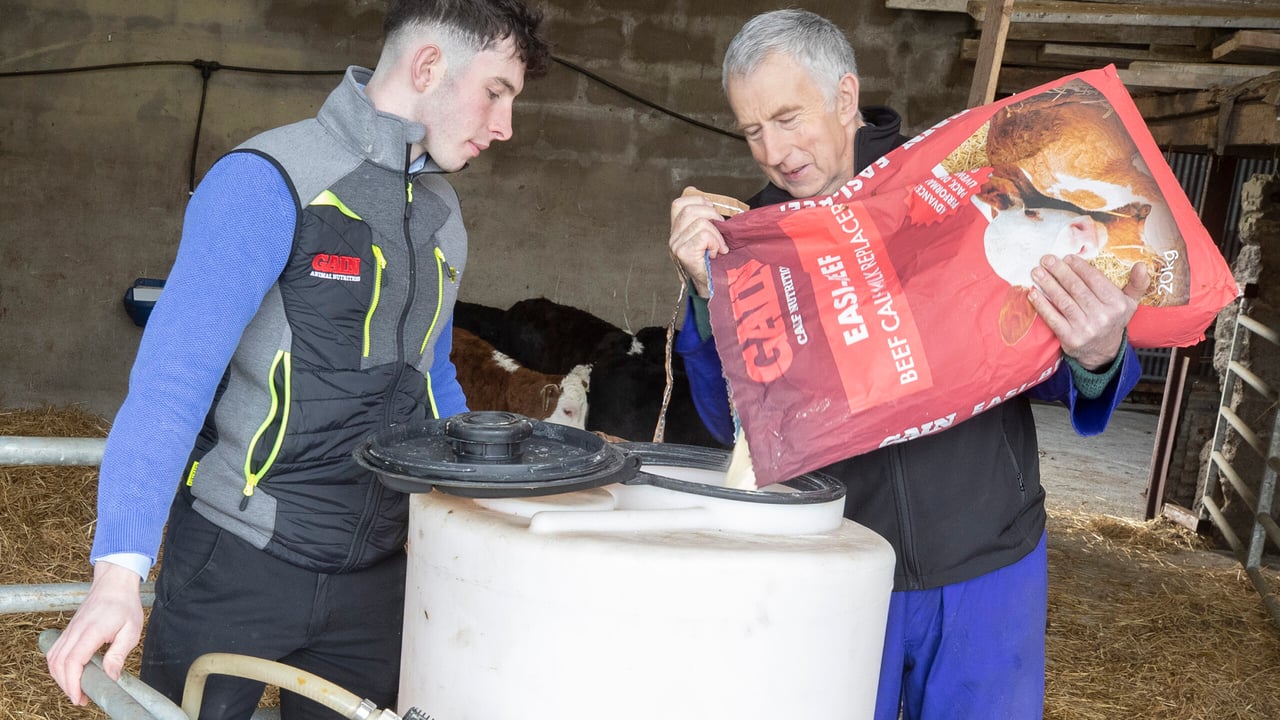 Cormac Kelly has been using GAIN Easi-Beef Calf Milk Replacer on his farm for the past number of years, with the guidance of the Tirlán team
 

