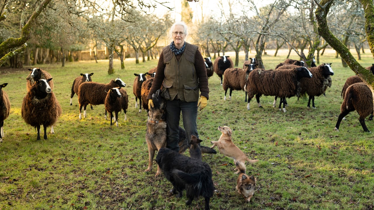 Art project to embark on rural tour and put farming 'under the spotlight'