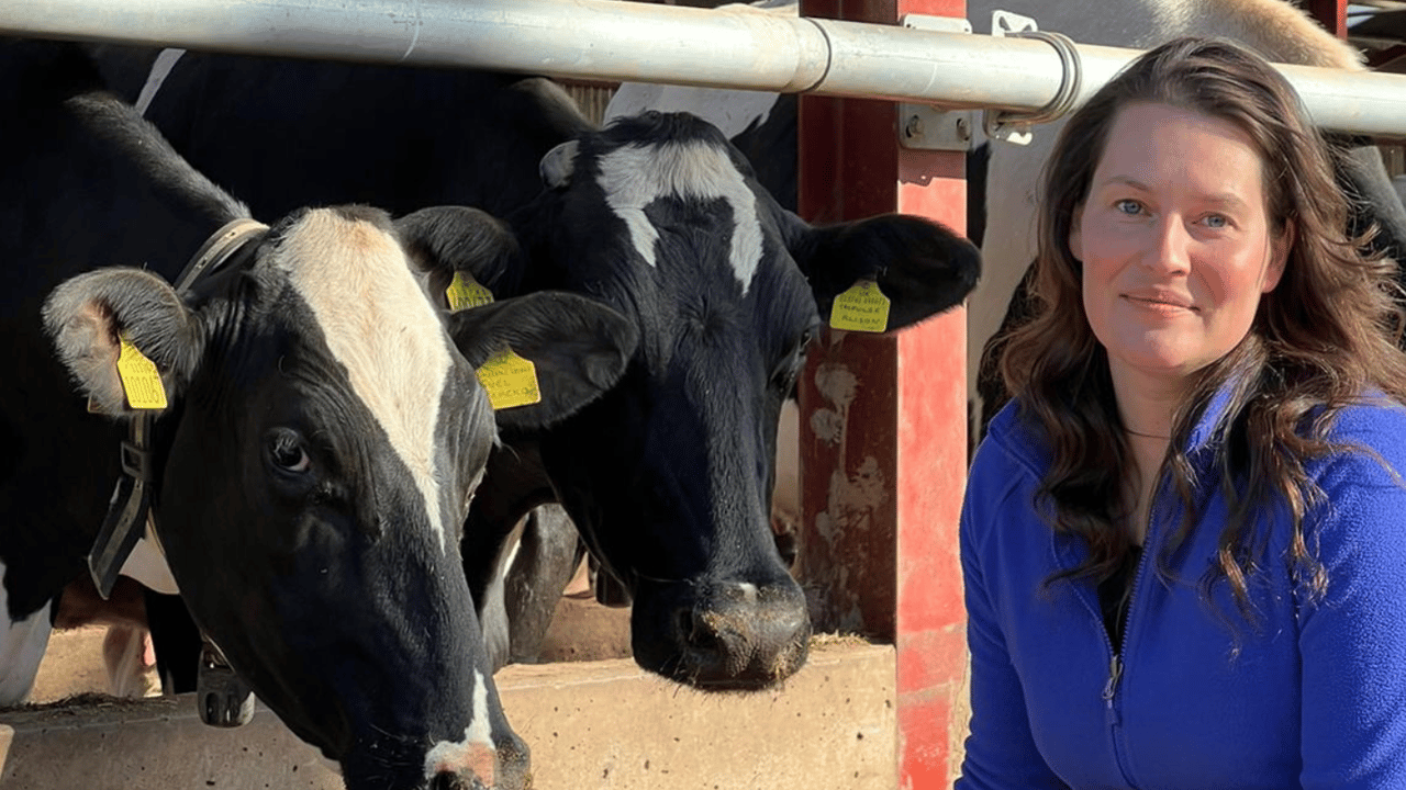 Dairy farmer Lis Stephenson