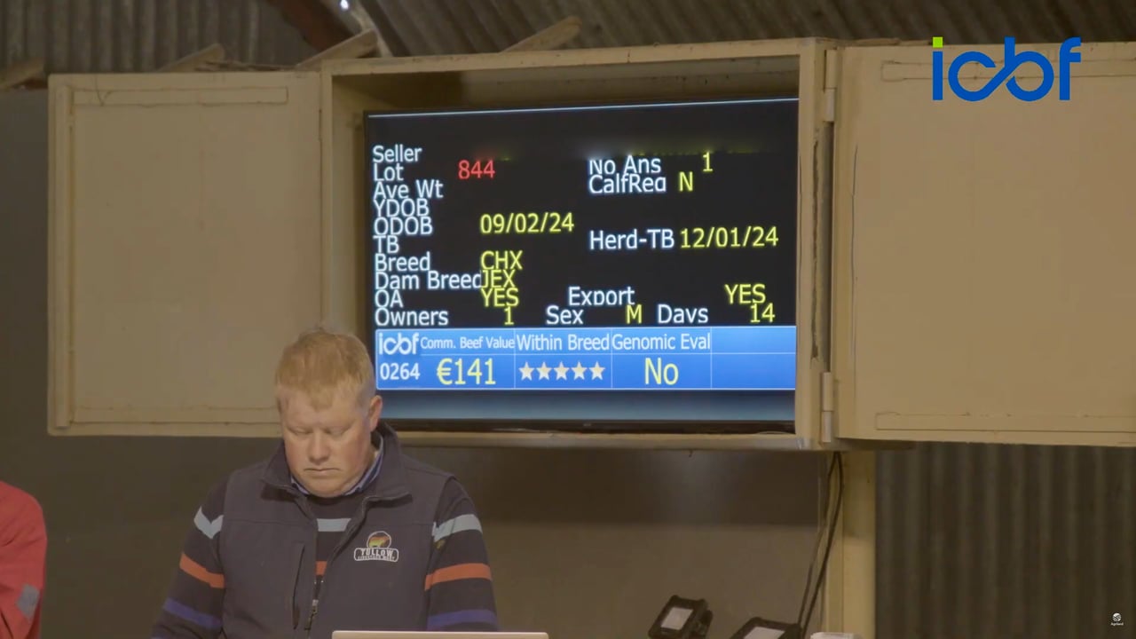 How will the CBV help farmers who buy their calves at the mart? Commercial Beef Value Series