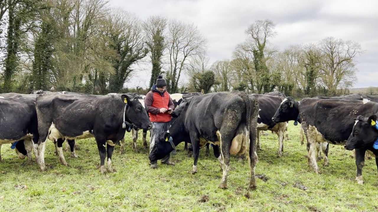 Joe Barry who uses the MooMonitor+ Image source: Dairymaster