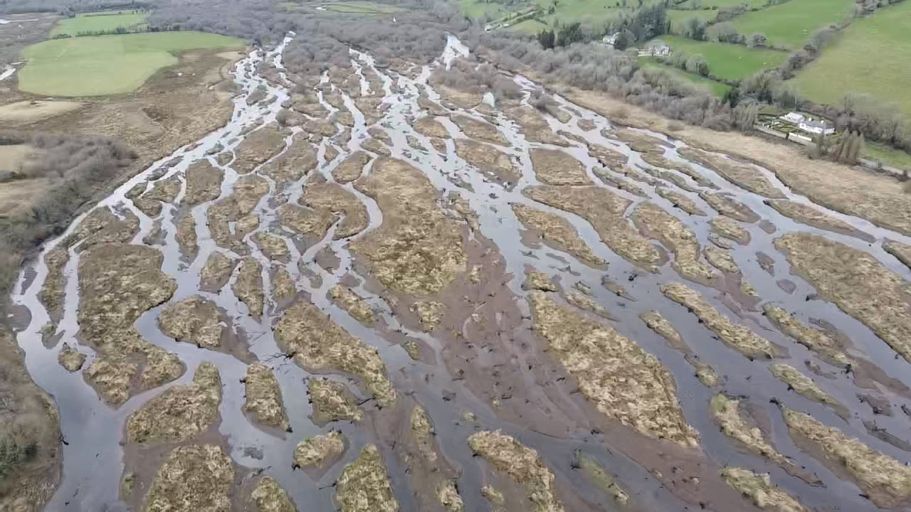 Calls for the Gearagh in Cork to be made a national park