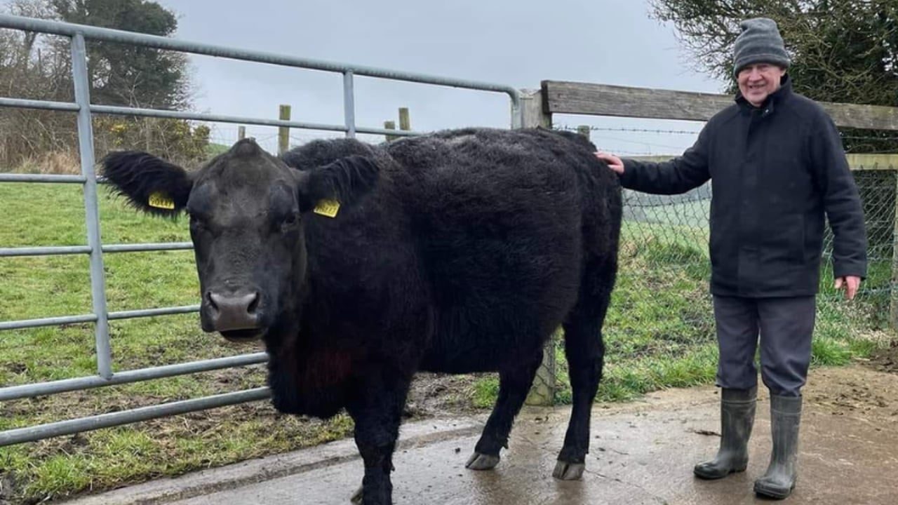 Farmer Robert Hall, pictured with Lady Hoshi X447. Image source: Robert Hall