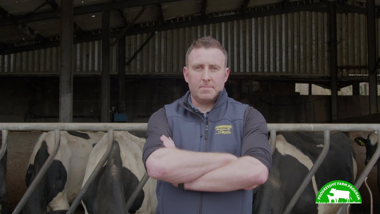 Breeding a robust cow for Meath autumn-calving herd | Progressive Farm Program