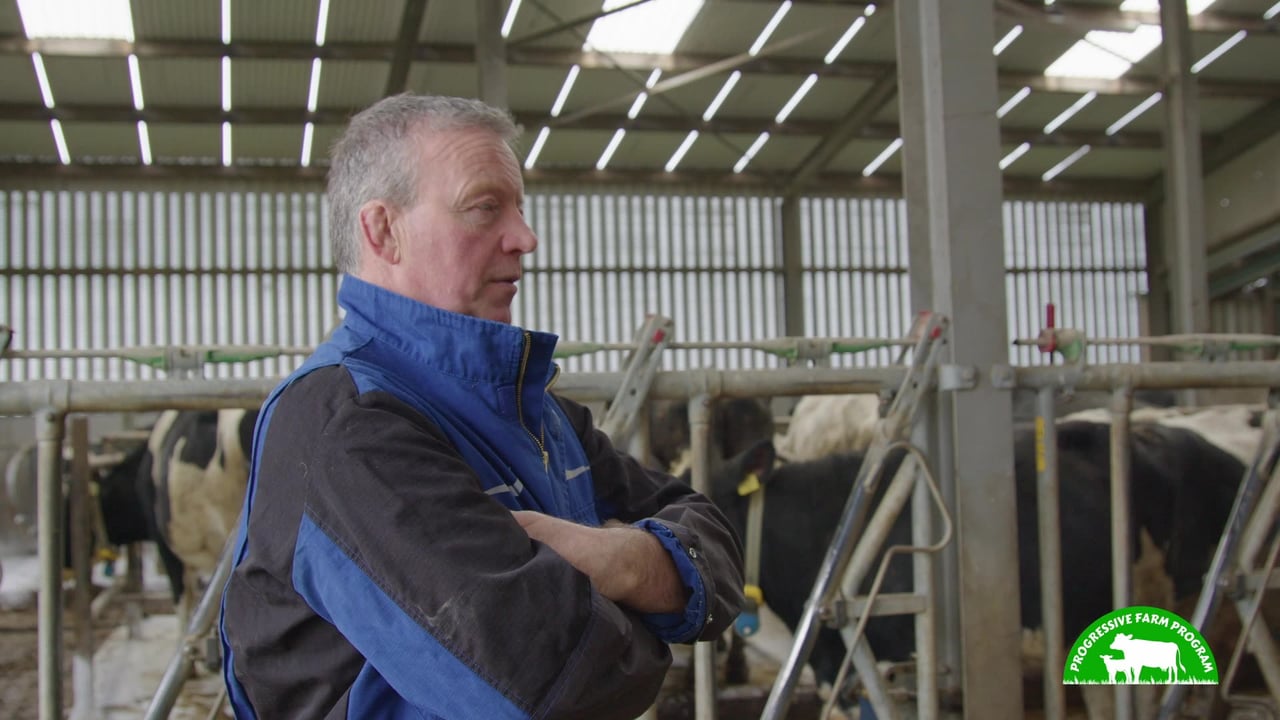 Progressive Farm Program: Breeding a functional cow in Kildare Video