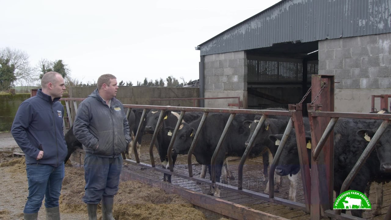 Keeping things simple on Laois dairy farm | Progressive Farm Program