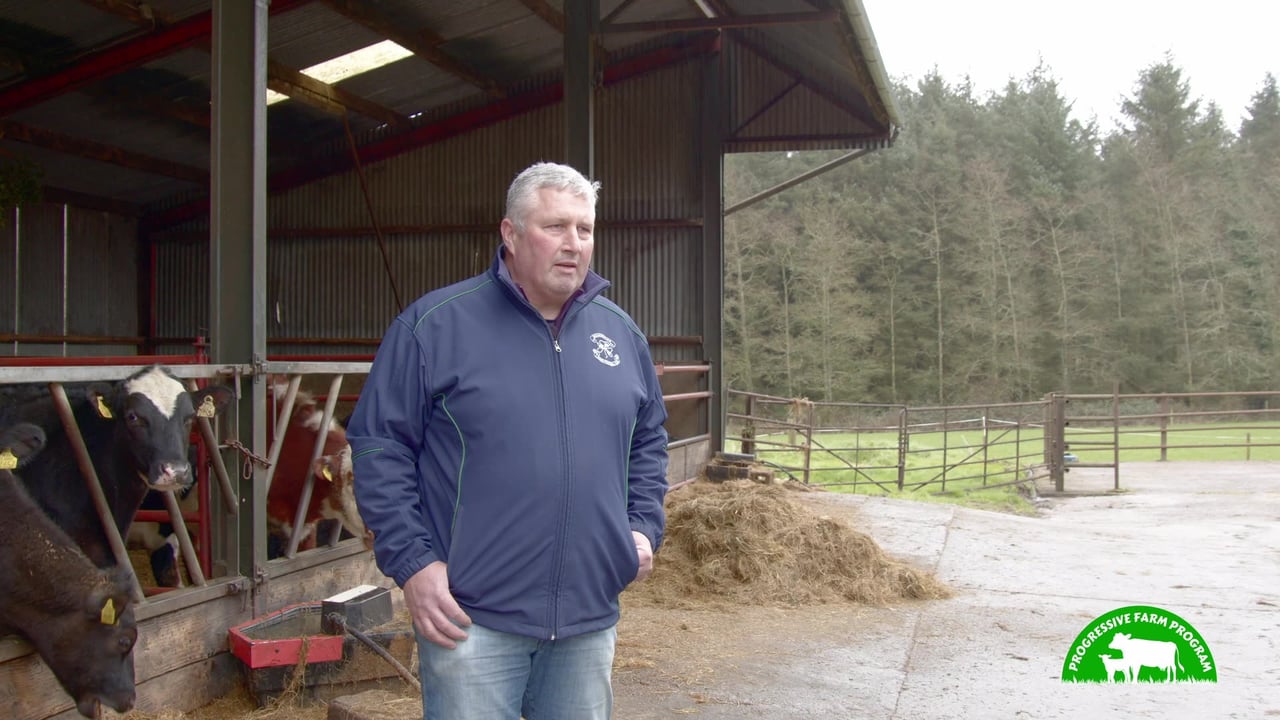 Watch: Huge genetic gains on dairy-beef enterprise | Progressive Farm Program