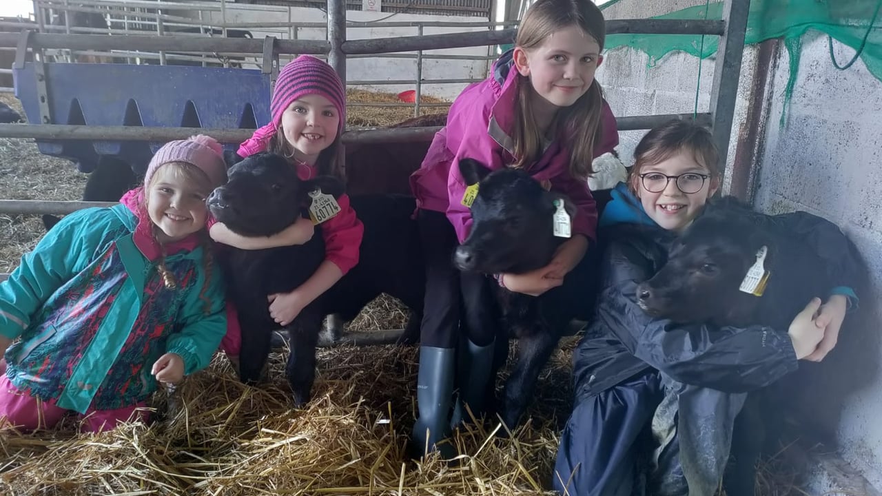 Holly, Sadie, Maria and Michaela Sweeney from Ardee, Co. Louth Source: Kevin Sweeney