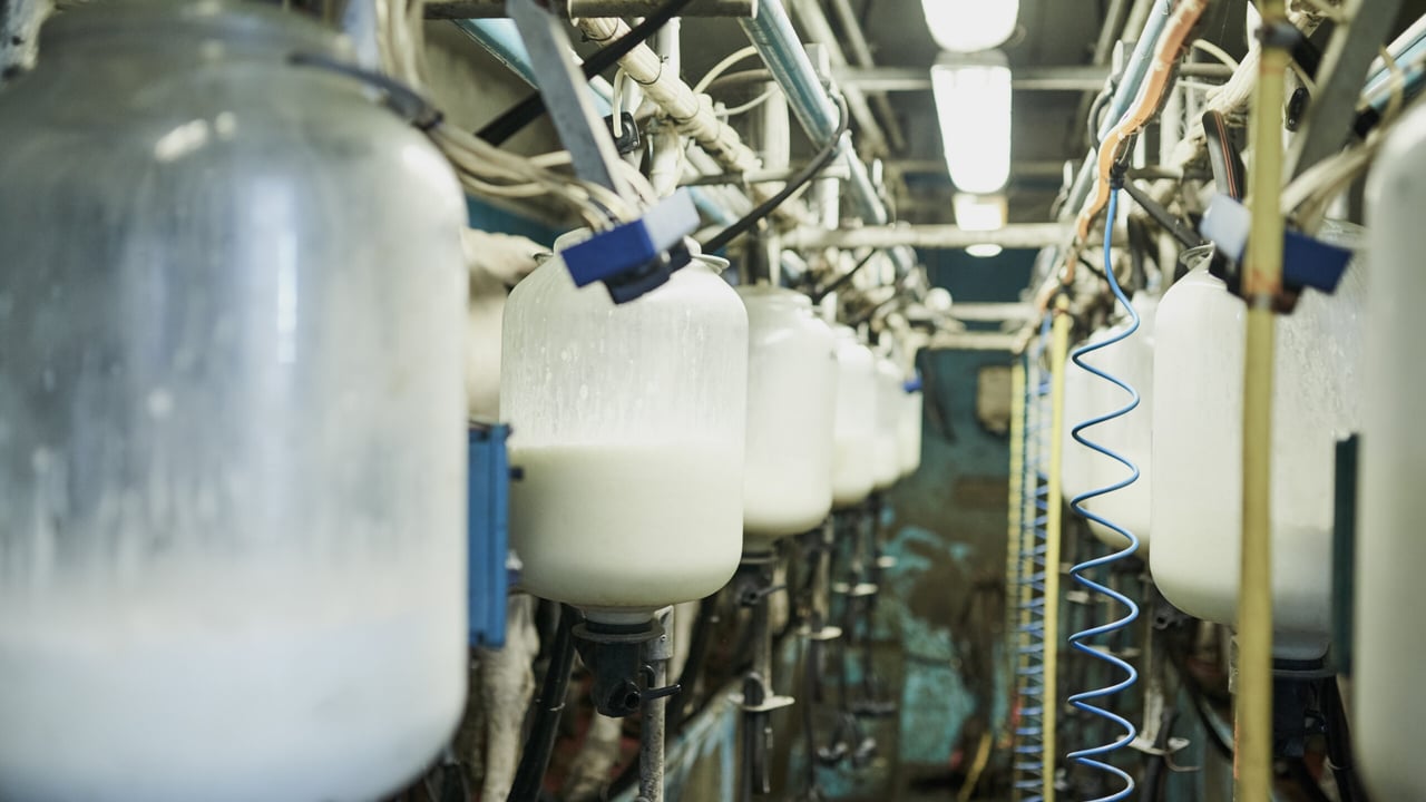 CSO: Domestic milk intake back over 22% in January