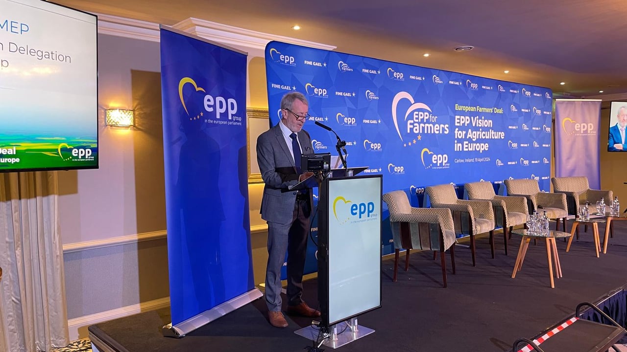 MEP Seán Kelly speaking at the EPP conference