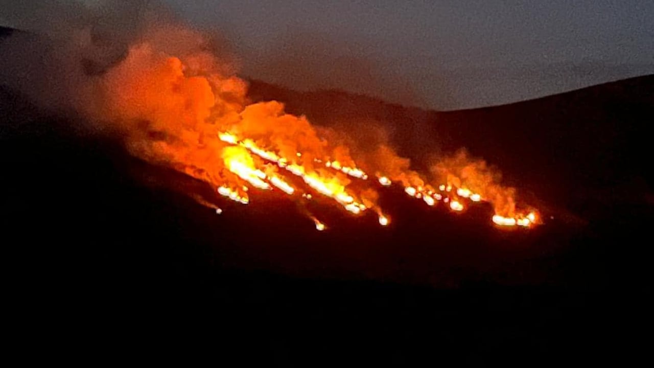 Call for support for farmers after land destroyed by gorse fires
