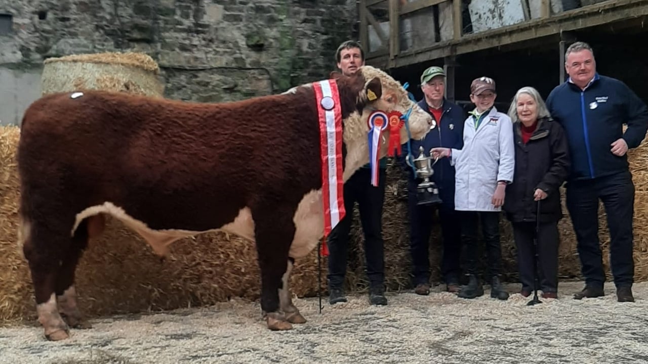 Champion Skehanore Joey with breeder Paddy Hickey, judge and IHBS president John Boddy, Eric and Elizabeth Applebe presenting the Frank Appelbe cup and Willie Mullins local council
