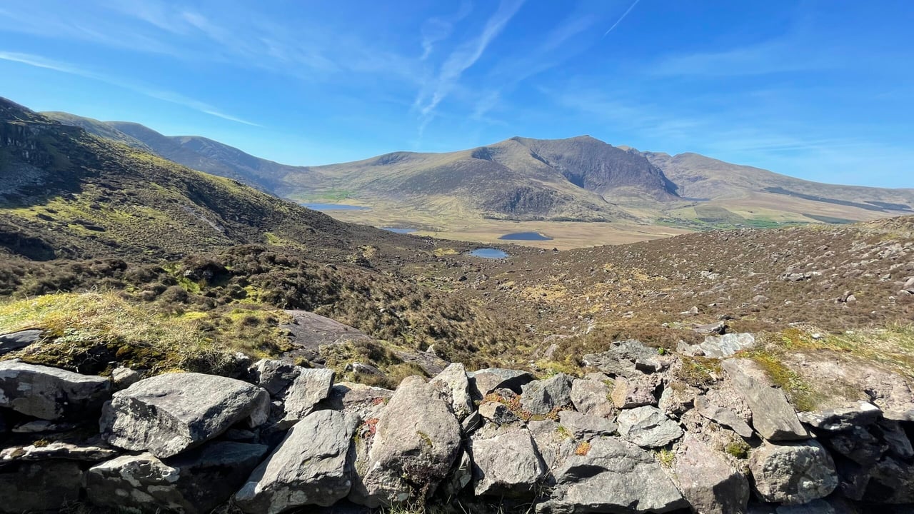 NPWS to commission habitat assessments in new national park