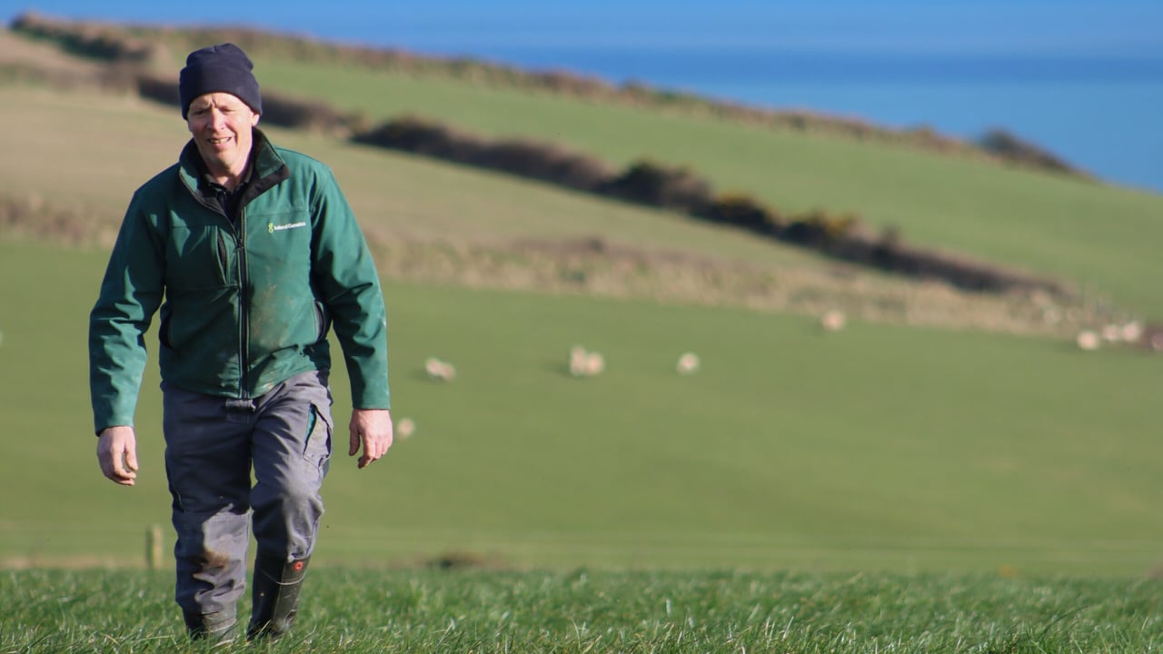 Dick O'Neill is in his seventh breeding season with Censortec CowControl