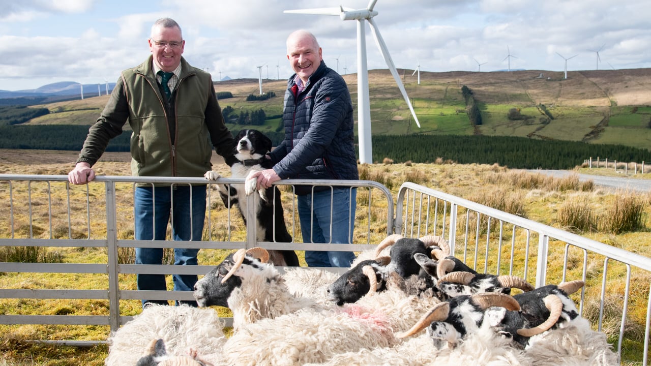 James McGee, chair of the Donegal committee of the International Sheep Dog Society with his dog Glengreg Silver and Seamus Herron community liaison-officer, SSE. Image Source: Clive Wasson