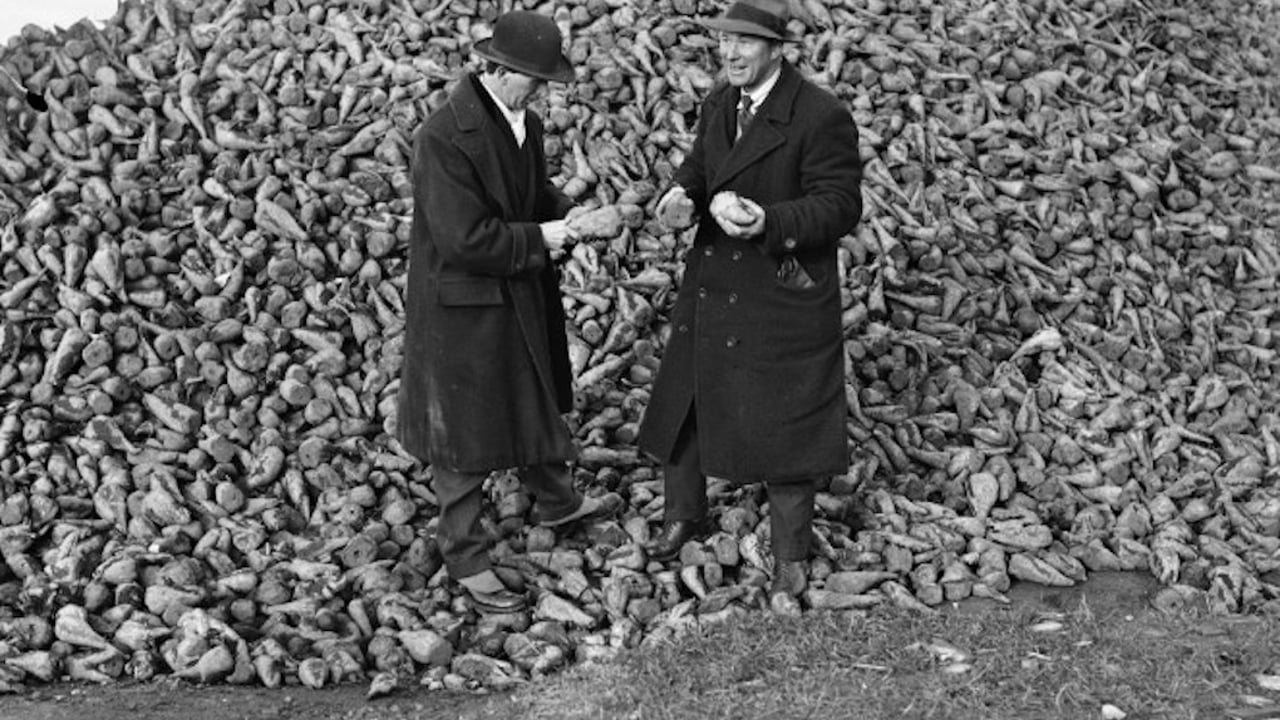 Two men with a huge pile of sugar beet at the sugar factory in Carlow, 1926. National Library of Ireland INDH655. Image source: National Archives, Ireland.