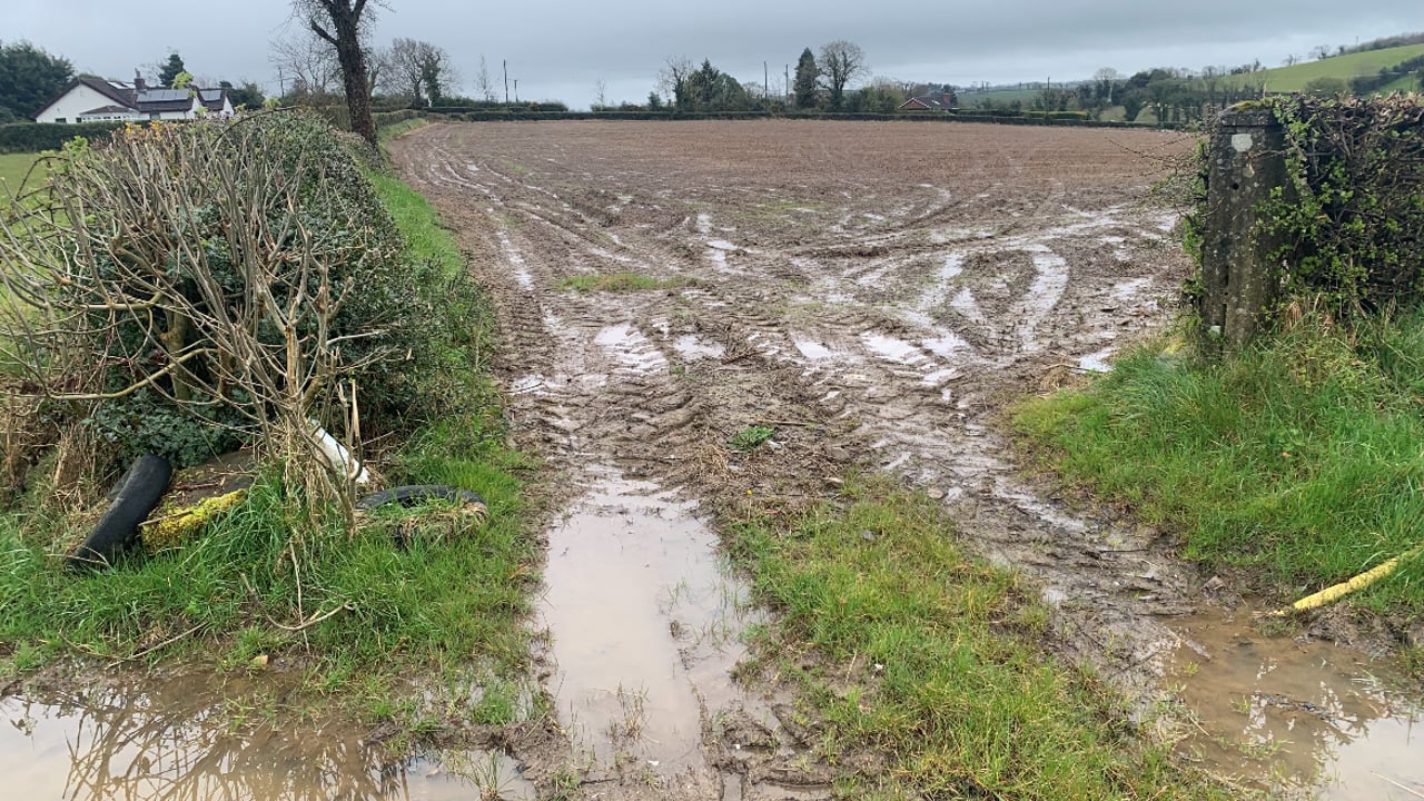 A stubble field, photographed in Co Down earlier this week. When will it be fit for planting in 2024?