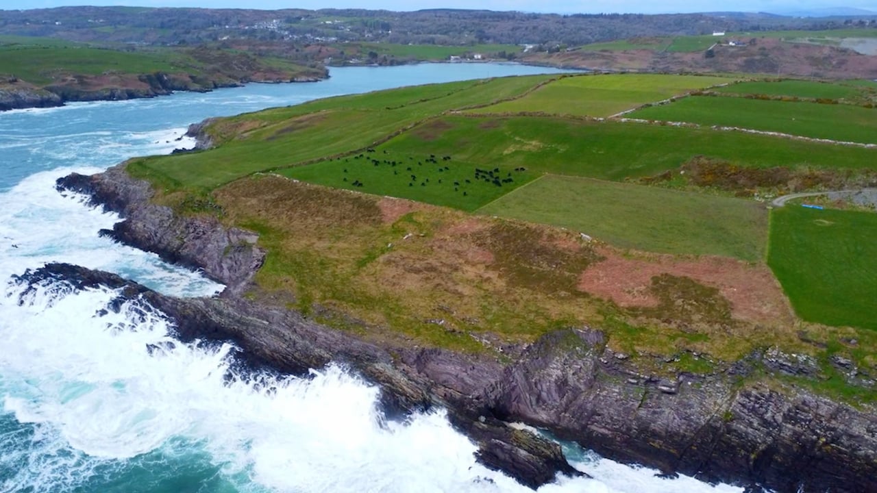 West Cork calf to beef farm focusing on high CBV | Commercial Beef Value Series
