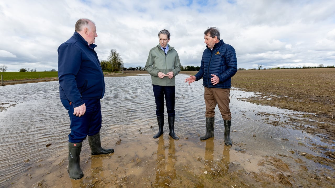 IFA President Francie Gorman and Taoiseach Simon Harris on the farm of Charlie Farrell in Gowran, Co Kilkenny Image source: Michael O'Rourke