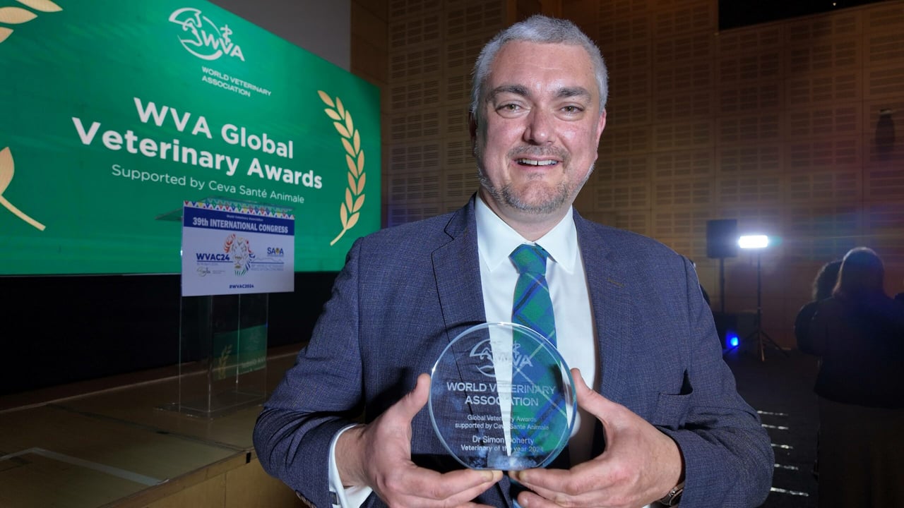 Down man awarded 'World Vet of the Year 2024' title