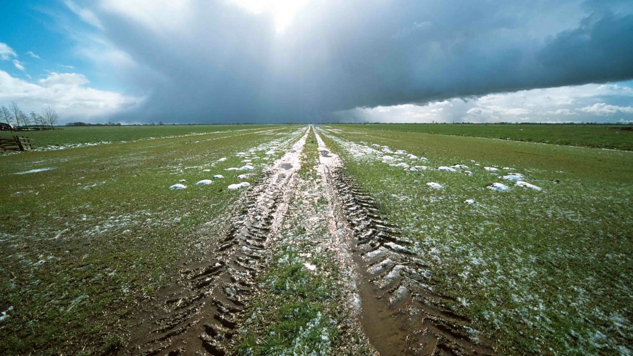 Image source: Teagasc