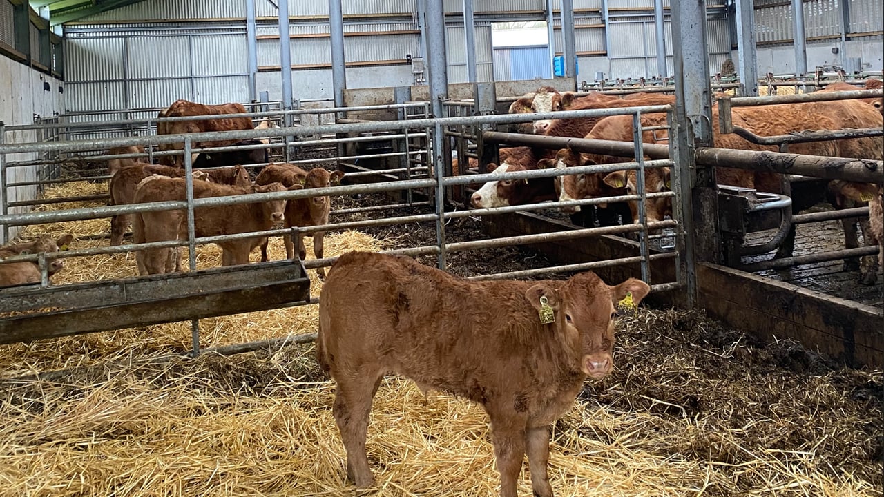 Weather woes highlighted on ABP monitor farms in Sligo