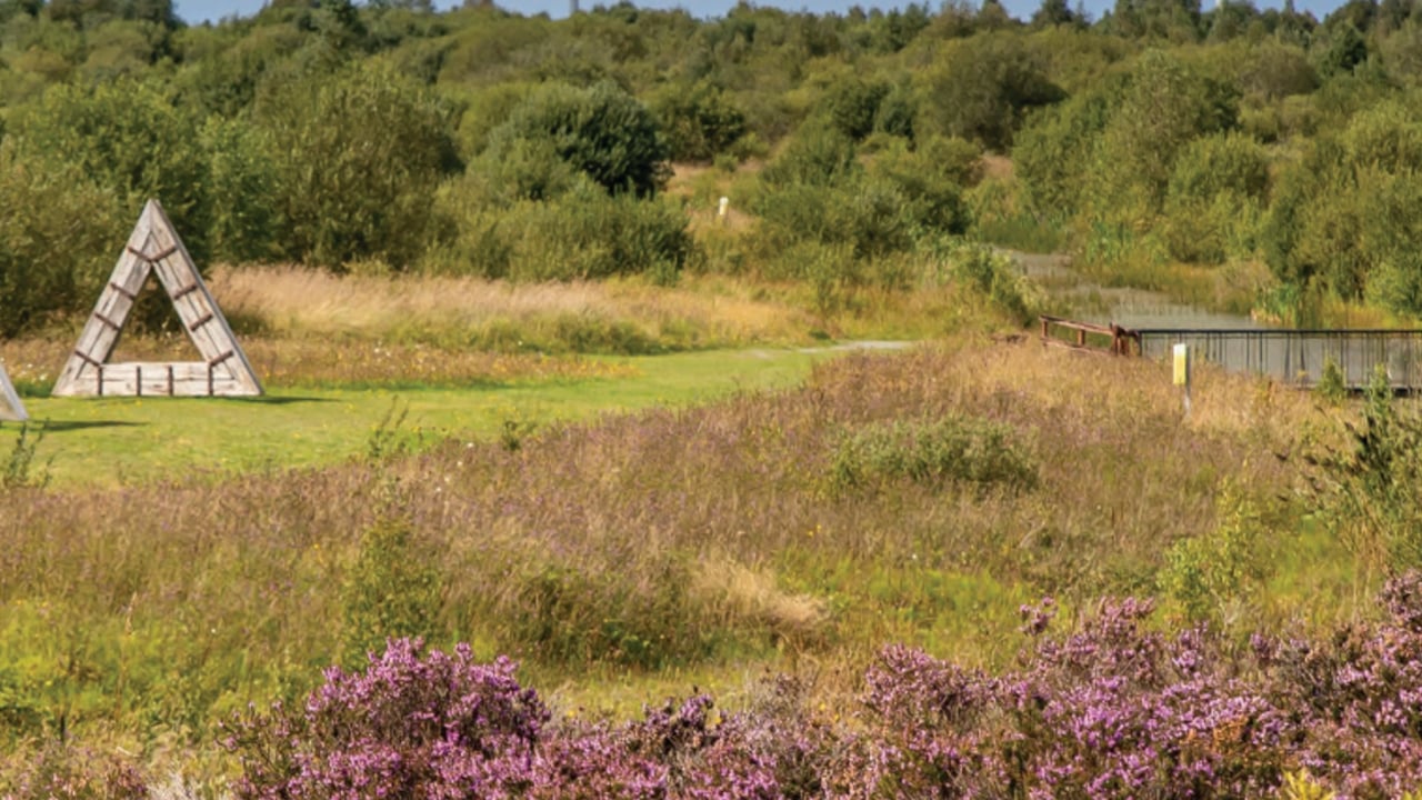 Source: Bord na Móna 