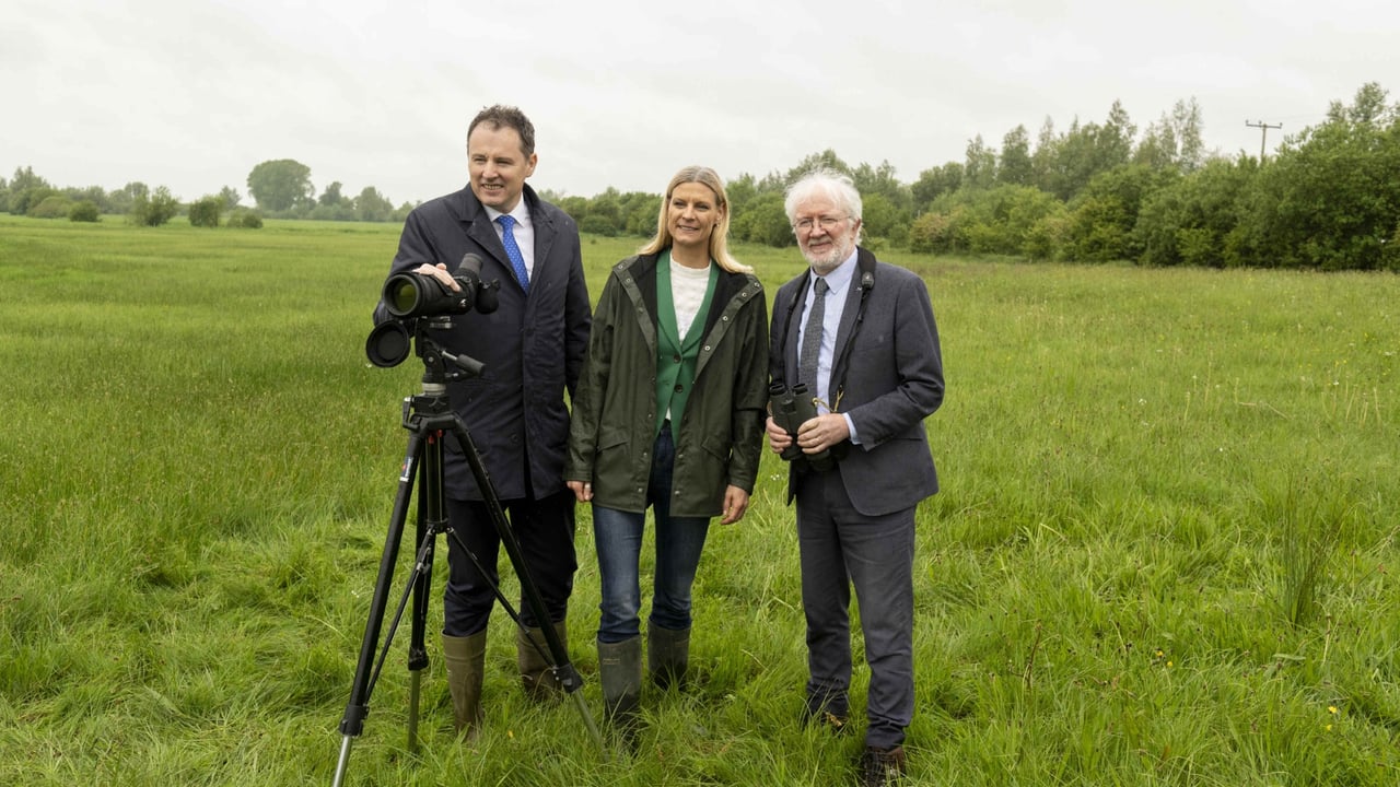 New €25 million Breeding Waders EIP launched