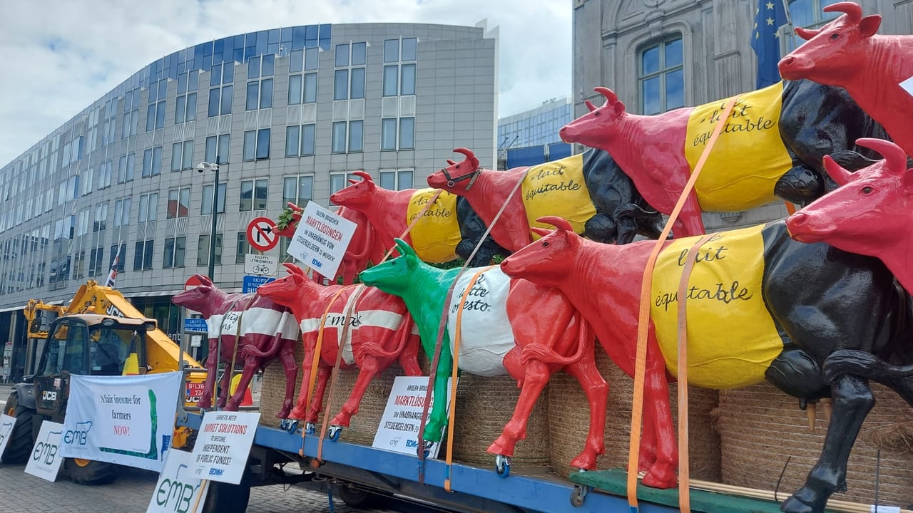 Farmer's protest in Brussels. Image source: EMB