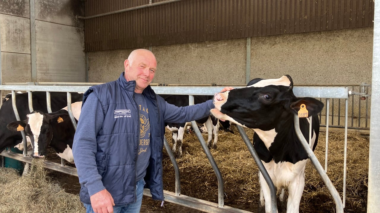 Watch: Unfair prices and wet weather impacts highlighted by Belgian farmer