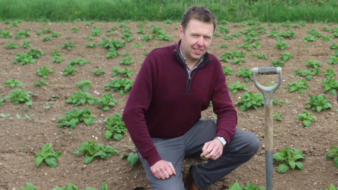 Wilson's Country agronomist, Stuart Meredith