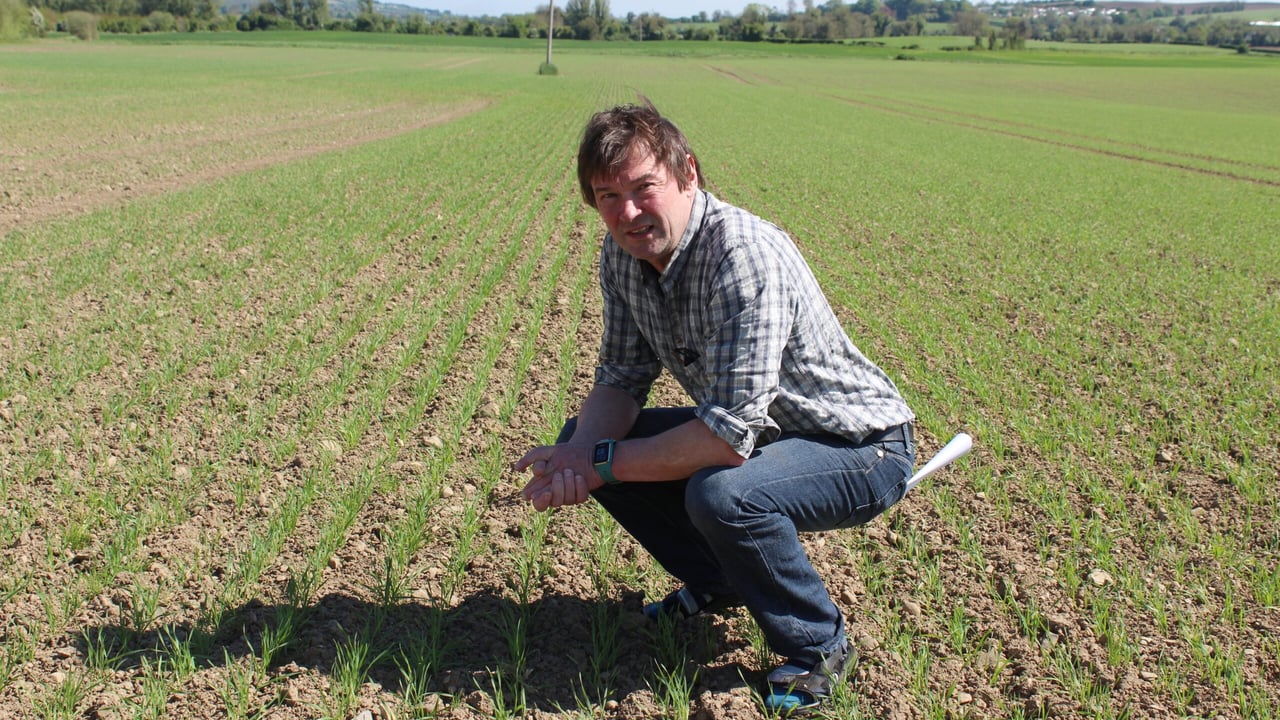 Data suggests challenges confronting Irish tillage sector