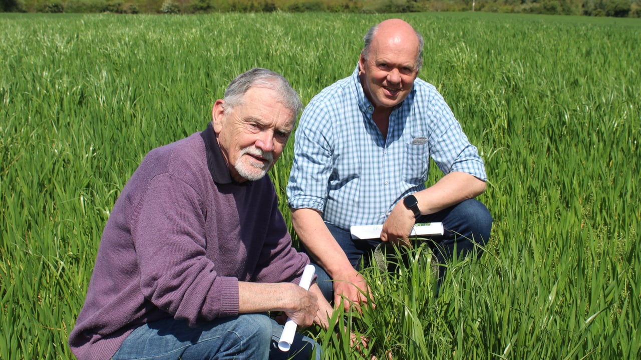 Attending the recent crops walk, hosted by Bertie and Martin Ennis in Co. Dublin (l-r): Paul O' Doherty, PCI Associates and Trevor Myles, Summerhill, Co. Meath 