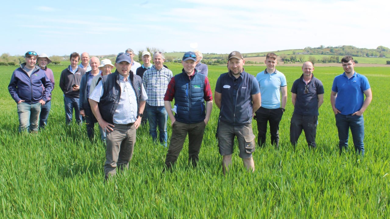 The group who took part in the crops walk, hosted by Bertie and Martin Ennis on the family's north Dublin farm
