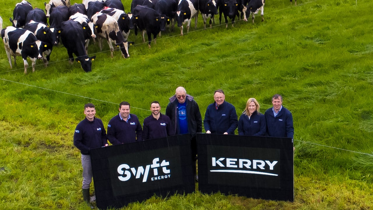 Dairy farmers can reduce electricity costs through new partnership