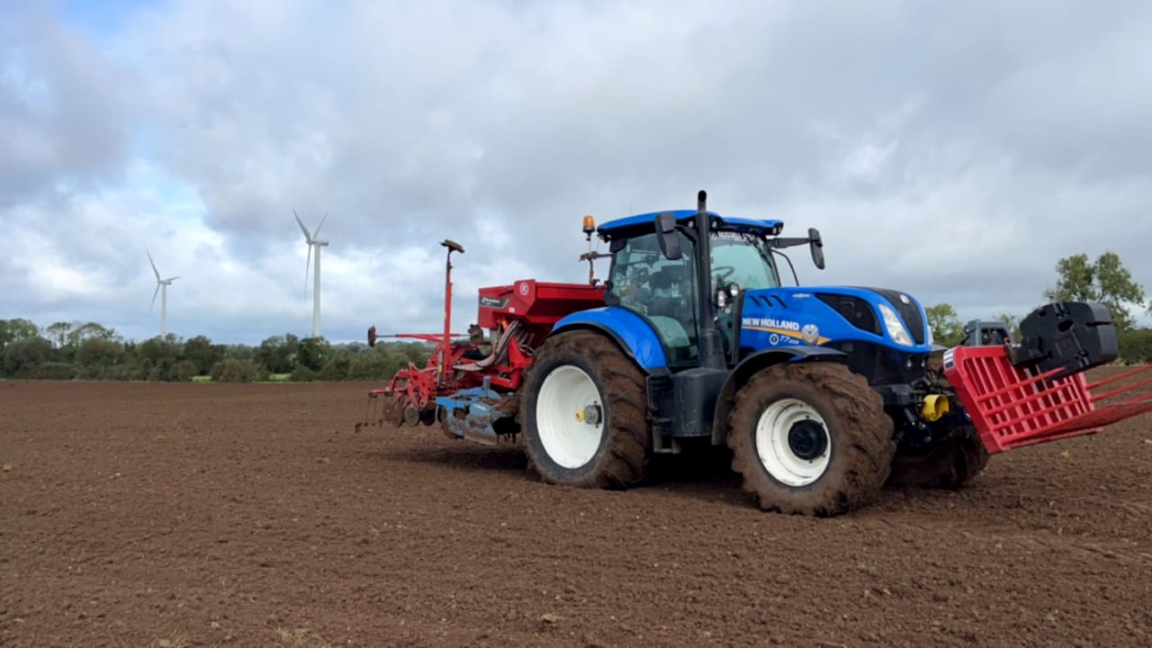 Opinion: Review of the 2024 cereal year must take place