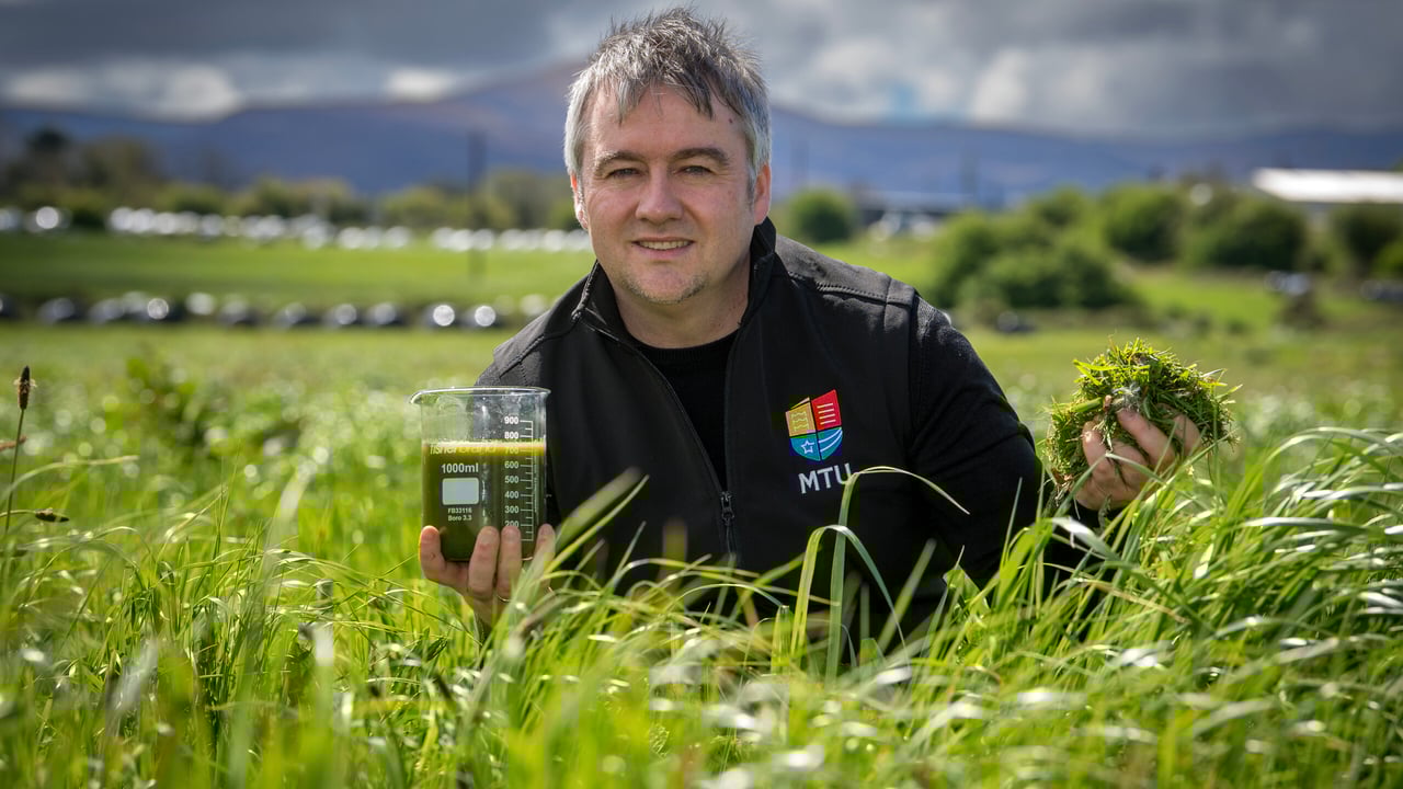 MTU to lead €9m farm-based biorefinery demonstration